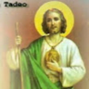 Meet your Posher, Dora